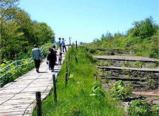 西山山麓火口散策路